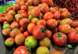Studi: Konsumsi Tomat Bisa Bantu Perbaiki Paru-paru Perokok